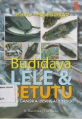 Budidaya Lele & Betutu