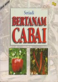 BERTANAM CABAI