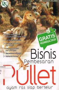 Image of Bisnis Pembesaran Pullet ayam ras siap bertelur