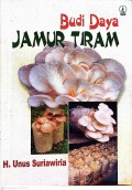 Budi Daya Jamur Tiram