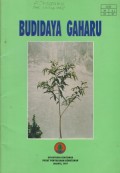 BUDIDAYA GAHARU