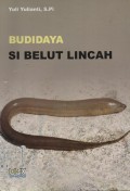 BUDIDAYA SI BELUT LINCAH