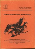 PENGELOLAAN USAHA AYAM BURAS