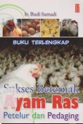 Sukses Beternak : Ayam Ras Petelur dan Pedaging