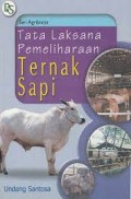 Tata laksana pemeliharaan ternak sapi
